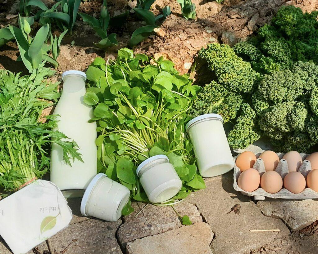 Saisonaler Ernteanteil mit Gemüse, Milchprodukte und Eier