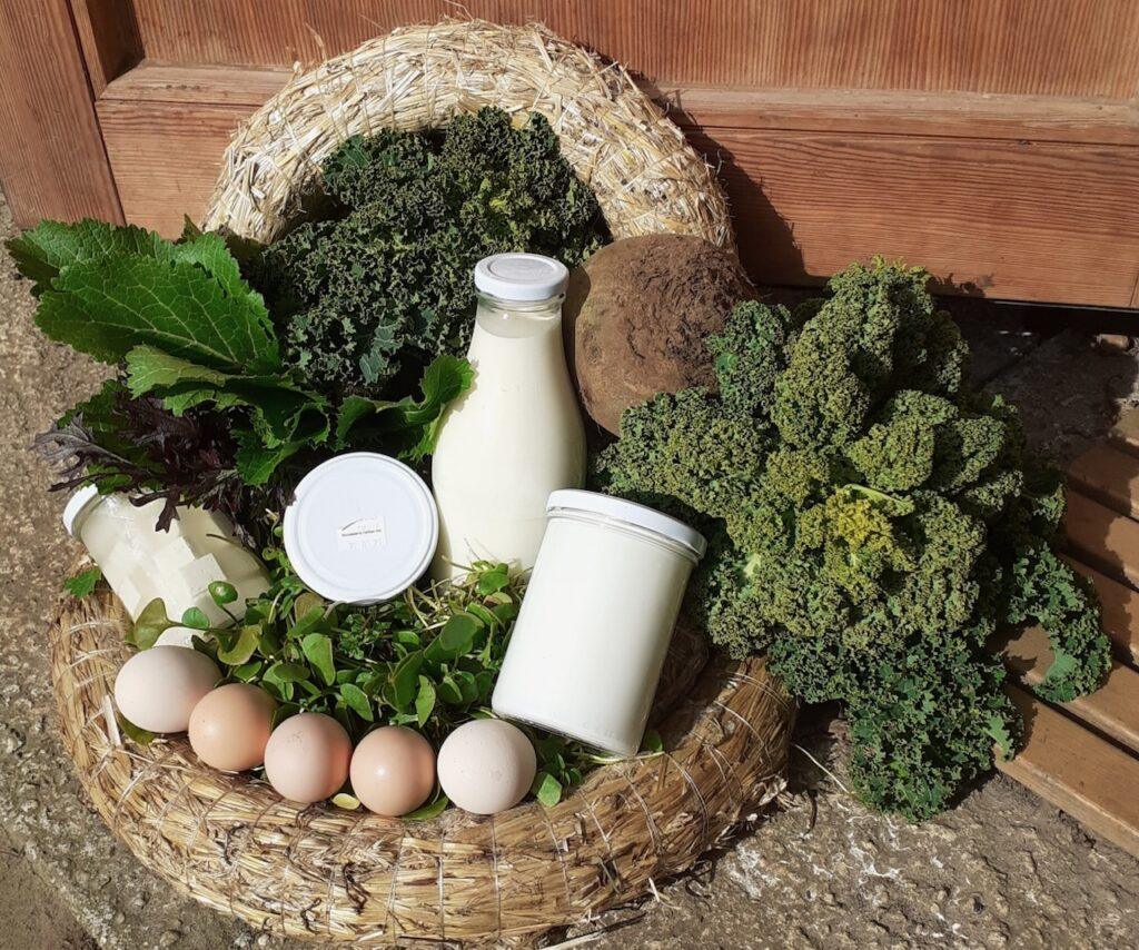 Saisonaler Ernteanteil mit Gemüse, Milchprodukte und Eier