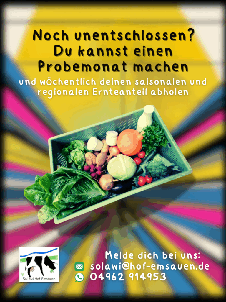 Ernteanteil mit Gemüse und Milchprodukten in einer Kiste mittig. Werbung für einen Probemonat